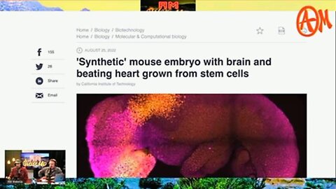 Scientists Creating Mouse Embryos Using Just Stem Cells — AM Wakeup Sept 29 (clip)