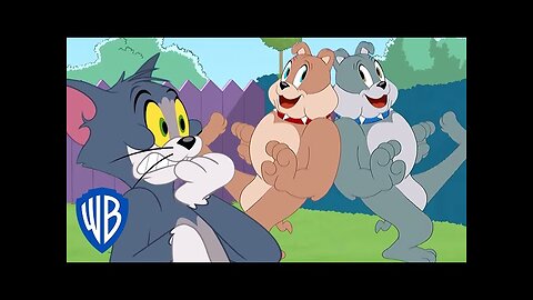 Tom & Jerry | Spike's Brother | WB Kids