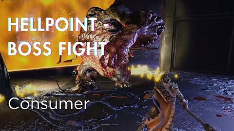 Hellpoint Boss fight - Consumer - What's up with the camera? Got a headache w that status effect!