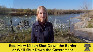 Rep. Mary Miller: Shut Down the Border or We'll Shut Down the Government