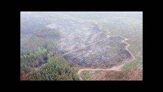 Bemidji Minnesota Wildfire July 2021 Dji Drone