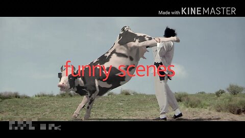 COW FIGHT || KUMFU STYLE||🐄🐄🐄