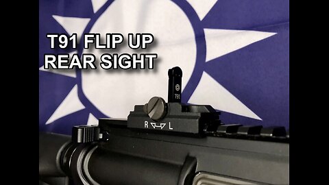 T91 Flip Up Rear Sight
