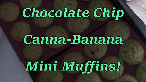 Chocolate Chip Canna-Banana Mini Muffins!