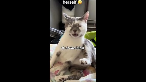 Funny animals - Funny cats and dogs - Funny animal videos 2023😁