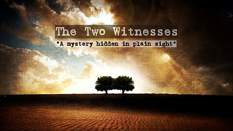 The Two Witnesses - A mystery hidden in plain sight