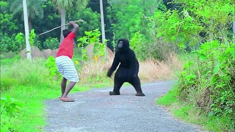 Gorilla Attack Prank || Scary Gorilla Prank on Public