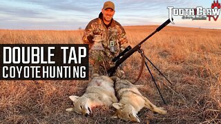 Double Tap - Coyote Hunting