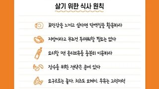 내 몸에 이로운 식사를 하고 있습니까, 바스 카스트, 포화지방산, 저탄수화물, 버터, 크림, 치즈,감자,우유,앳킨스 다이어트, 채식주의자, 식물성단백질, 팔레오식단, 지중해식식단