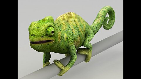 Unusual pets - Chameleon - Part 1 - (ep 16)