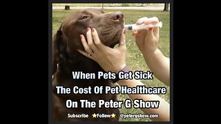 The Cost Of Pet Healthcare. Can You Afford It? On The Peter G Show. July 26th, 2023 Show #217