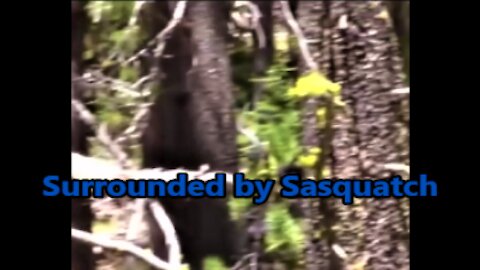 World Bigfoot Radio ~ SURROUNDED BY SASQUATCH!!