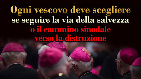 PCB: Ogni vescovo deve scegliere se seguire la via della salvezza o il cammino sinodale verso la distruzione