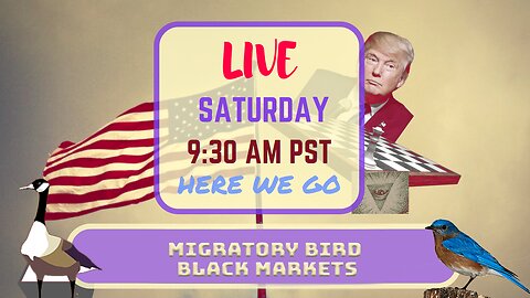 Saturday *LIVE* Migratory Bird Black Markets