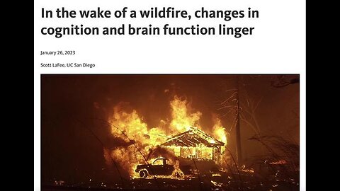 MAUI FIRE BRAIN SYNDROME! 100% CONFIRMATION THAT MAUI WAS HIT WITH A D.E.W.