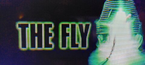 The Fly ( T-RO'S TOMB Movie Mausoleum)