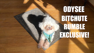 Rumble/Odysee/Bitchute Exclusive Hot Take: Feb 26th 2023 News Blast!