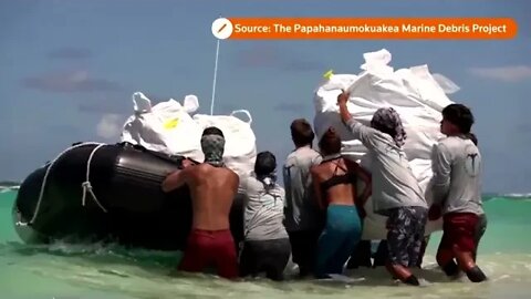 Ghost net hunters clear debris from Hawaii. Cleaning Hawaii's beaches and restore native habitat