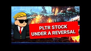 Wallstreetbets PLTR STOCK IS UNDERGOING A REVERSAL.after phenomenal earnings report