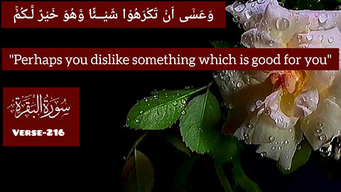 Surah Al Baqarah,Verse-216💕