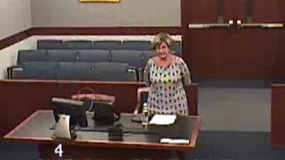 Horodesky vs. Johnson before Family Court Judge William Potter 9.7.14