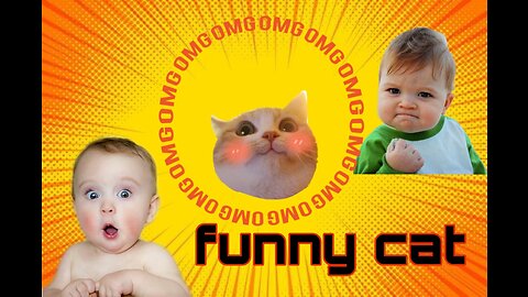 Funny cat and baby