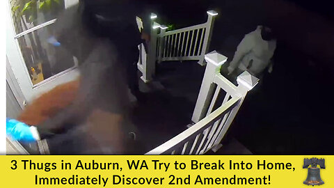 3 Thugs in Auburn, WA Try to Break Into Home, Immediately Discover 2nd Amendment!