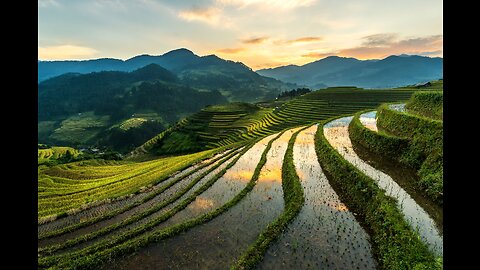 Mu Cang Chai