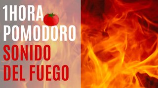 Mercarato - Estudia trabaja conmigo pomodoro 1 hora sonido del fuego