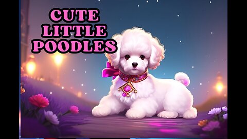 "Eccentric Elegance: Cute Little Poodles - A Delightful Showcase!"