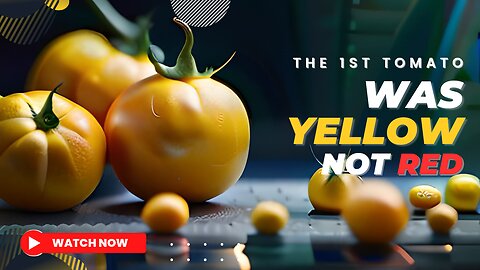 The 1st Tomato was YELLOW, not RED 🔴 | Facts about Tomatoes | JessFacts