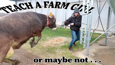 Milking 2,000 Cows Ain't Easy! - Teach a Farm Girl Series