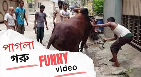 kurbanir gorur funny video 2023 🤣 || #funnyvideo #trending #shorts #viral