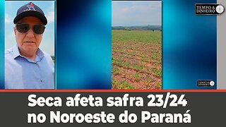 Seca afeta safra 23/24 no Noroeste do Paraná, mostra o João Eduardo Pasquini