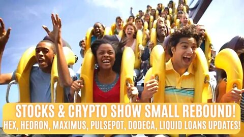 Stocks & Crypto Show Small Rebound! Hex, Hedron, Maximus, PulsePot, Dodeca, Liquid Loans Updates!