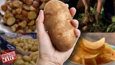 How Did Potatoes Get So Popular? - #PropagandaWatch