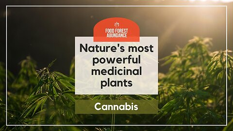 Nature’s most powerful medicinal plants: Cannabis