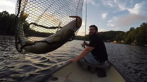 Catching a MONSTER chain pickerel in a canoe