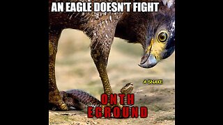 MOM THE BOMB'S SCREAMING EAGLES CCCM#10 - Eagles, Hooved Ones & the Snake