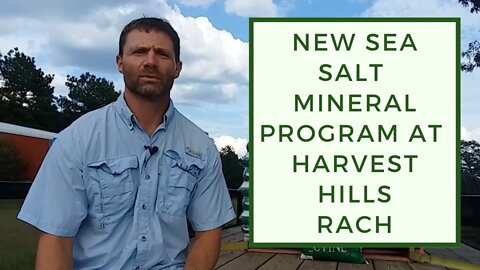 New Sea Salt Mineral Program at Harvest Hills Ranch