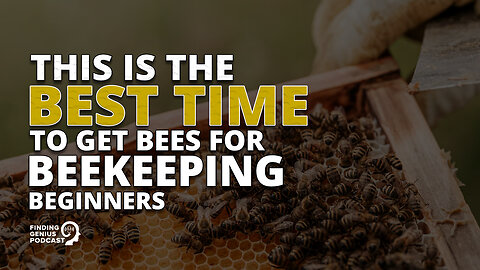 This Is the Best Time to Get Bees for Beekeeping Beginners