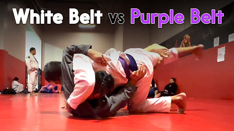 Jiu Jitsu White Belt vs Purple Belt Jeremy | Circadian MMA (10-24-2022)