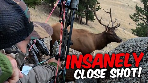 ELK SHOT AT 3 YARDS! Unbelievable Bowhunting Action
