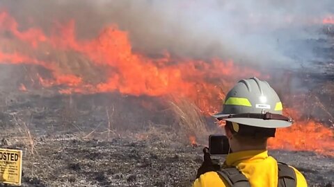 Southern Illinois prescribed burn Shawnee National forest-habitat management practice