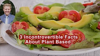 3 Incontrovertible Facts About Plant Based Requirements For Humans