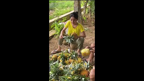 Awesome Cutting pineapple by Girls