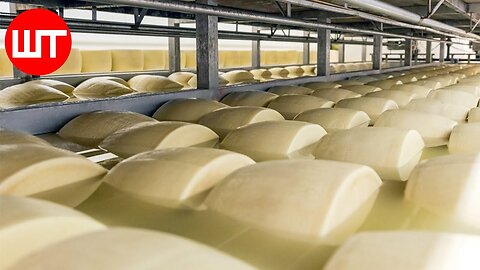 Modern Cheese Making Process That You've Never Seen Before | Food Factory