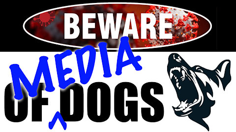 Beware of Media Dogs