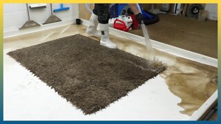 Satisfying Muddy Rug Cleaning