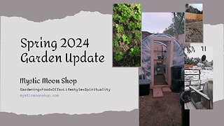 Garden Update April 2024